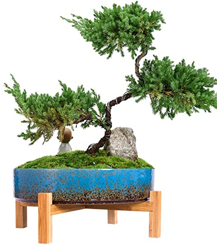 Plant Pots - 29 CM Ceramic Bonsai Pot with Drainage, Large Succulent Plant Pot for Indoor Cactus Plant Garden Decorative Flower Pot with Stand