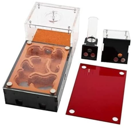 Ameisenfarm Ameisen Farm Acryl-Ameisenburg Aus Beton Mit Fütterungsbereich, Ameisenfarm, Studie Für Verhalten Von Ameisen, Ökosystem, Nestfarm Ameisenfarm Erwachsener(Ant Farm)