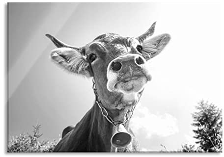 Pixxprint Glasbild, Wandbild aus Echtglas, Portrait einer Kuh, 100x70 cm, inkl. Aufhängung und Abstandshalter