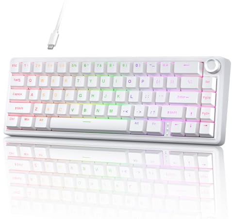 TMKB T68E Gaming Tastatur, 60% Prozent Mechanische Tastatur，Gasket-Struktur mit Knopf, US-Layout, Hot-Swap, RGB, Lineare Schalter, 66 Tasten Kompakt Mini Tastatur für Windows/macOS/Linux –Weiß