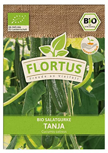 FLORTUS BIO Salatgurke Tanja | Gemüsesamen | Gurkensamen | Salatgurkensamen | Samen zur Anzucht für Garten, Balkon, Küche & Fensterbank