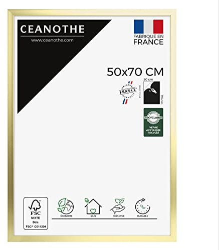 Ceanothe Cadre Photo 50x70 cm Doré Moderne et Elégant Convient au A2 et Affiche Poster-Collection PRECIOUS Verre acrylique Incassable - Fabriqué en France