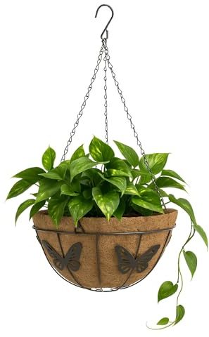 TECHZOCO Macetero de Coco Colgante, Maceta de Coco diseño Mariposas, Tiesto Colgar Flores, Fabricado en Fibra de Coco y Metal, Recipiente Pared para Flores, 20 cm diámetro x 11 cm Alto