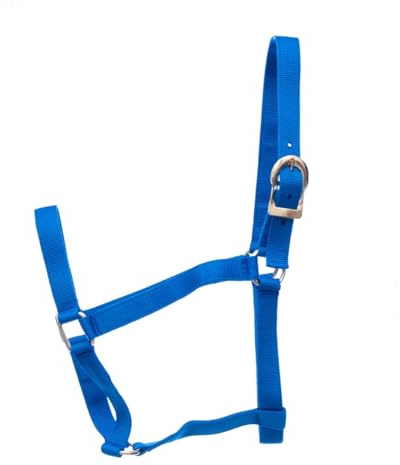 Jeffers Equine Turnout Nylon Halter for Horses, Royal Blue - 2 Ply Durable Nylon Webbing, Adjustable Headcollar w/Metal Hardware, Equestrian Horse Halter, Stable & Ranch Use - 2 Year Old 600-900 lbs