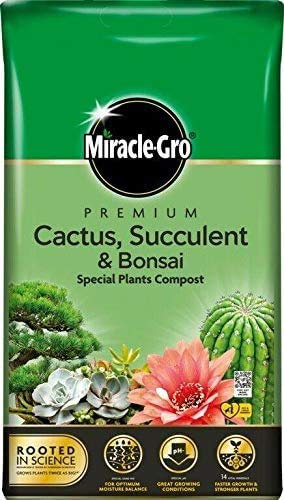 Miracle-Gro 2 x Premium Cactus, Succulent & Bonsai Compost 6L Easy Carry Pack
