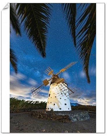 robertharding Palm Trees Frame Windmill Under Milky Way, El Cotillo Print - Print 10x8 (25x20cm) (24188479)