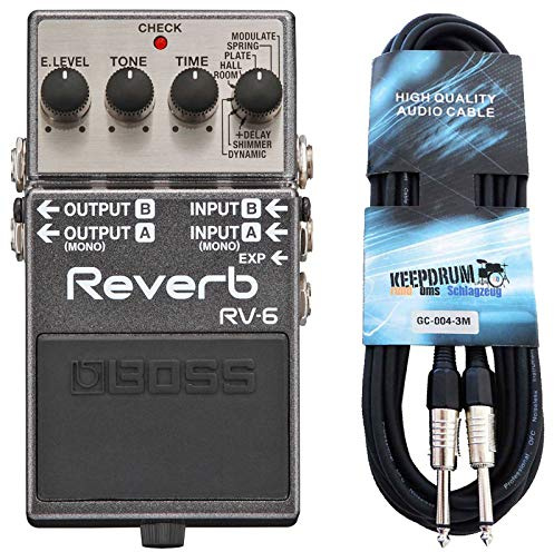 Boss RV-6 Reverb Pedal Studio-hall + keepdrum gitarrkabel