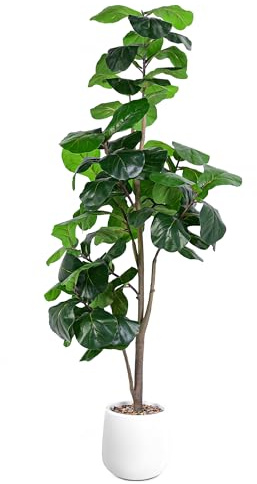 Jocoevol Artificial Fiddle Leaf Tree, 6ft Faux Plant Fake Ficus Lyrata Trees with White Planter, Artificial Fig Trees Floor Plants for House Office Living Room Indoor Home Decor, Housewarming Gift