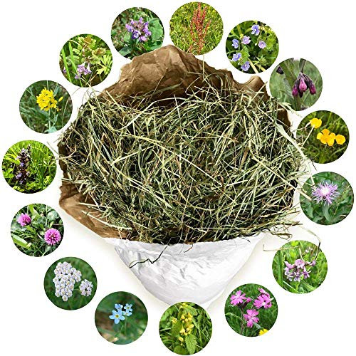 Heu 2. Schnitt - Qualitäts-Kleintier-Futter - für Kaninchen Hasen Hamster Nager - lose im Öko Papiersack aus der größten Heumilch-Region Europas in Österreich (3 kg)