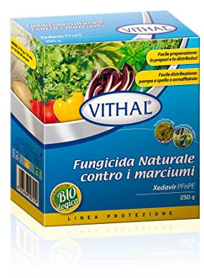 Fungicida Naturale contro i marciumi 250 g Vithal