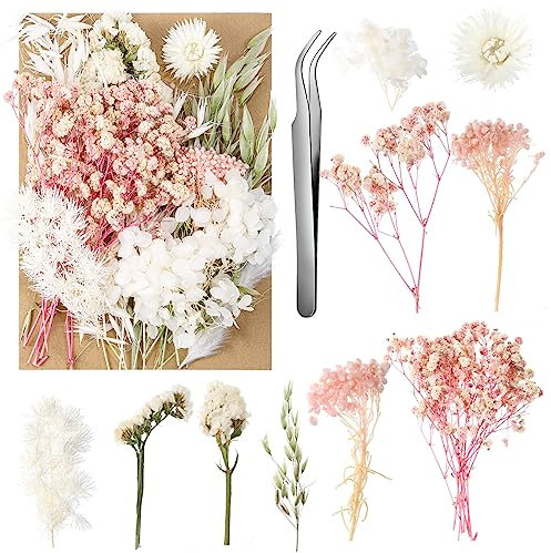 aurorayer Fleurs Séchées, Fleurs Sechees Naturelles Vraies Fleurs Pressées Séchées Decoration pour Scrapbooking Bougie Bricolage Résine Époxy Floral Fabrication Artisanale (Blanc Rose)