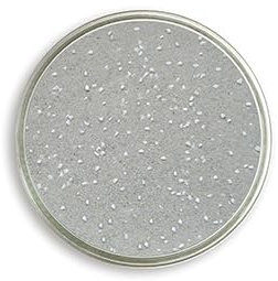 Eivolution Badesand 8 kg mit Anis für Hühner und Wachteln - mit Kalkgrit - für Gefiederpflege und gegen Parasiten - für mehr Wohlbefinden