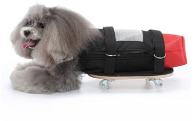 Dog Wheelchair for Disabled Pets - Indoor Mobility Scooter with Silent Wheels for Paralyzed Animals - Pet Mobility Aid for Small Dogs and Cats