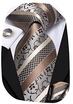 Hi-Tie Silk Paisley Ties for Men Necktie Pocket Square Cufflinks Set Foral Tie Sets Formal Business,Khaki Floral