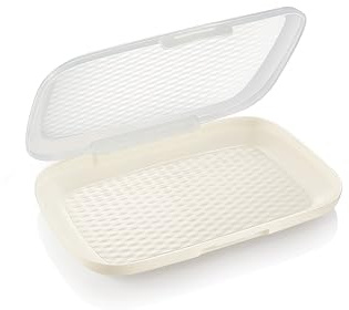 4FOOD Tescoma 896978 - Recipiente para lonchas con tapa transparente, 24 x 16,3 cm, línea
