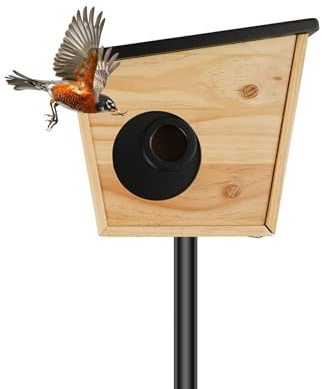 Gdetnysty Casa de pájaros inteligente de madera con cámara, nido de pájaros alimentado por energía solar, con detección de IA, nido con cámara de caza HD, visión nocturna, resistente a la intemperie