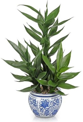 20 Fake Bamboo Plants In Blue and White Pot Artificial Lucky Bamboo Plant