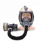 Toplionace AC 100-240V Wiederaufladbares Elektrisches Gebläse Atemschutzgerät, Vollgesichts Gasmaske Hochauflösendes Anti-fog Masken Schutzatemsystem, SJL700 (Set 2)