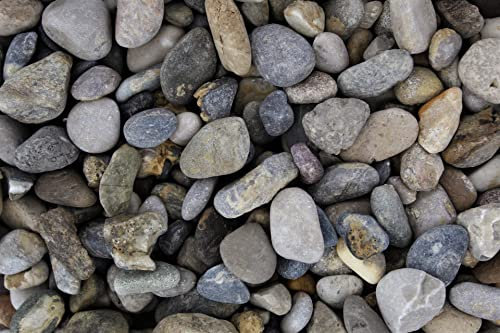 25 kg de gravier de montagne non lavé, grain 7-15 mm, multicolore, mélange de gravier de rhin, galets décoratifs, pierres décoratives, décoration de jardin