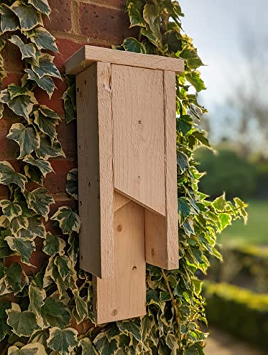 Great British Bat Box