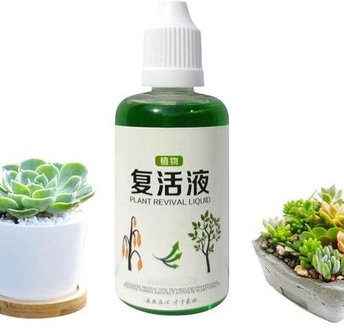 Ruwshuuk Stimolante Radicale Per Piante | Agente Di Radicazione Per Fiori,50ml Nutriente Naturale Per Crescita Rapida Sicuro Per Terriccio Compost Fiori Giardino E Talee Di