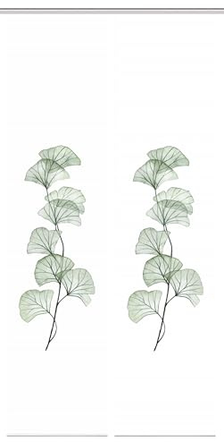 VISION S 080770 Berto Schiebegardine, halbtransparent, Bambus-Optik, 260x60 cm, Farbe:Salbei, Größe:260 x 60 cm, Anzahl:2X