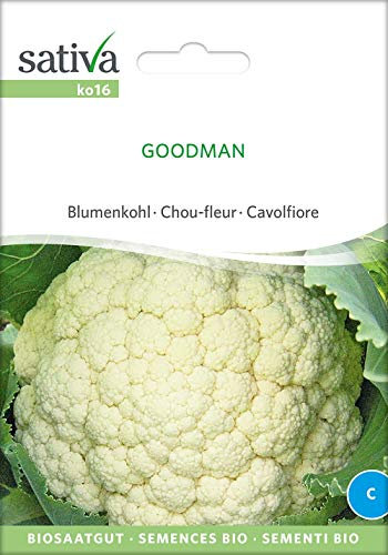Sativa Rheinau ko16 Blumenkohl Goodman (Bio-Blumenkohlsamen)