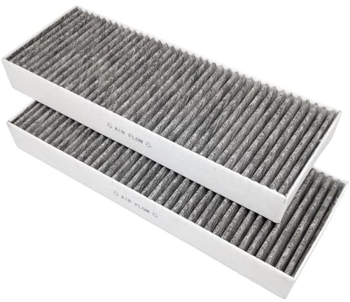 2 x Aktivkohlefilter passend für Bora Basic Filter BAKFS, BAKF-001, BAKF-100 für Kochfelder mit Dunstabzug BASIC, BFIU, BHU, BIU, GP4U