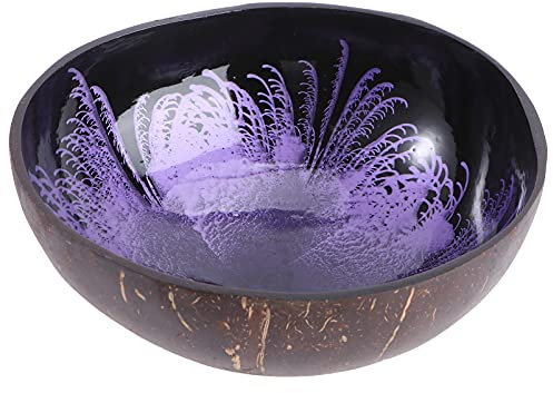 HEMOTON Natural Coconut Shell Bowl Decorative Key Storage Box Candy Container Coconut Bowls Nut Holder for Home and Office Use (Purple)