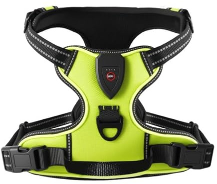 Harnais Lumineux pour Chien, Harnais Chien Anti Traction, Arnet pour Chiens, Gilet de sécurité LED, 3 Modes Éclairage, Facile à Mettre, Gilet Réfléchissant Réglable pour Chien Moyen Grand (L)