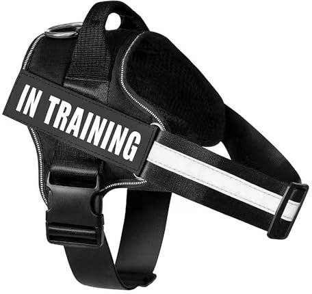 FDEETY Hundegeschirr für Hunde Geschirr Ausbruchsicher Verstellbare Brustgurt mit Frontschnalle Reflektierend Nacht Sicherheitsgeschirr Harness Hund Zubehör für Kleine Mittlere Große (S)