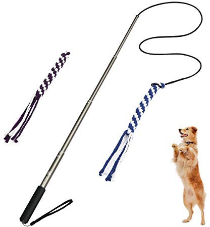 POPETPOP Interaktive Hundespielzeug Hunde Draussen Angel Kauspielzeug mit 2 Seil Hundeangel Pole Haustier Teaser für Training Übung (Größe L)
