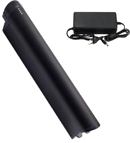 Batería ebike 48V 15Ah Recambio para Zündapp Z808 Reention Eel Pro e-Bike pedelec con Cargador (48V 15Ah)