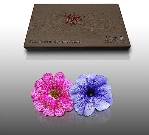 100 graines de Fleurs à semer - Le Grenier d'Abondance - PETUNIA - Petunia