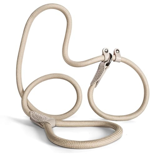 Laisse retriever 150 cm pour grands et petits chiens - Collier avec laisse intégrée - Laisse de dressage pour chien - Laisse de guidage pour labrador et retriever - Amortisseur de chocs (taupe