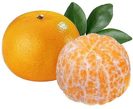 50 orangenbaum samen Mandarine obstbäume kälteschutz für pflanzen winterhart gewächshaus balkon fruit säulenobst baumsamen frisches obst