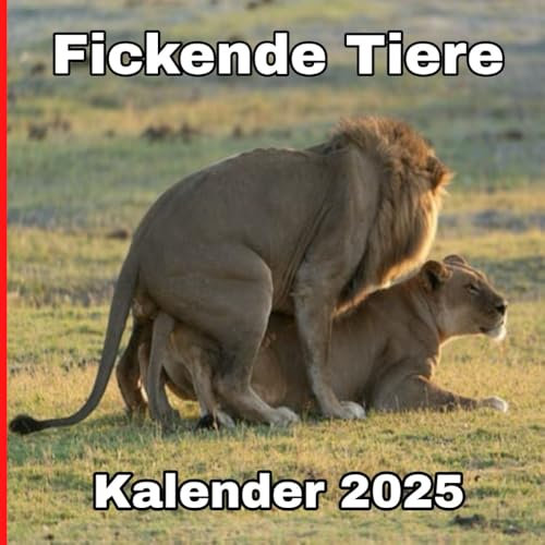 Fickende Tiere Kalender 2025