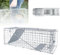 Piège à Animaux Vivants 62x19x22 cm - Cage Trappe Pliable en Fil de Fer Galvanisé - pour Chats, Lapins, Écureuils, Ratons Laveurs - sans Cruauté, Facile à Nettoyer et Sécurisé