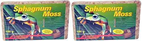 Lucky Reptile Sphagnum Moss - 100 g Ladrillos de Musgo para terrarios - Musgo de terrario para Aumentar Humedad del Aire - Musgo de Cultivo controlado orquídeas y bromelias - Accesorio para Reptiles