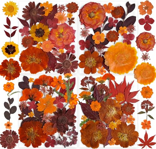 YouthBro 141PCS Brown Fall Dried Pressed Flowers for Resin Real Nature Flowers Butterfly Stikers Set for Christmas DIY Candle Soap Vase Making Nail Card Scrapbook Art Craft Floral Decors