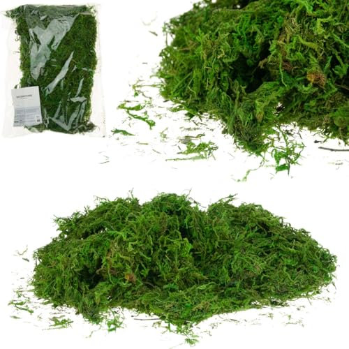 KUNSTMOOS 30G LOSE DEKORATIV FÜR Schilf, Moos zum Basteln Kunstmoos zum Dekorieren Fake Moos Getrocknet Kunst Moos Deko Konserviert Bastelmoos Künstlich Wie Echt Künstliches Moosbild Deko Moos Natur