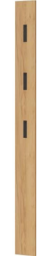 Germania Garderobenpaneel 3728-243, in Eiche, mit drei ausklappbaren Kleiderhaken aus Metall, 15 x 170 x 3 cm (BxHxT)