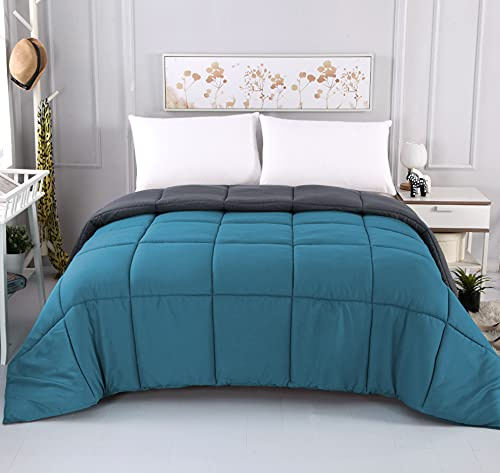 MOHAP Couette Bicolore 4 Saisons d'été Légère 450g/m² 200x200cm Hypoallergénique Lac Bleu + Gris Foncé Réversible 2 Personnes Edredon
