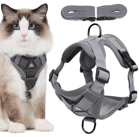 Kattsele rymningssäker | joggkoppel för | enkel kontroll anti-fly kattsele, reflekterande och bly för utomhuspromenader