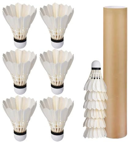 12 Pcs Shuttlecocks, Professional Badminton Shuttlecock Lightweight Training Sport Badminton Balls High Speed Badminton Birdies