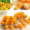 PERZOE 200 piezas de semillas de tomate cherry, deliciosa fruta vegetal decoración del jardín del hogar Semillas de tomate 200 piezas