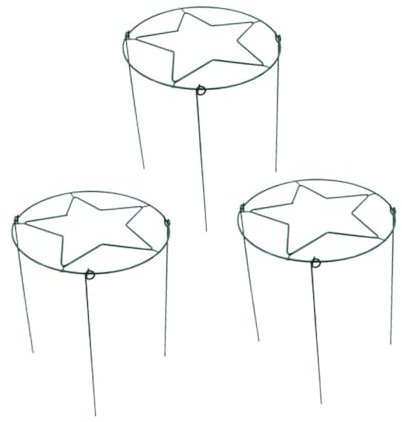 Baoblaze Lot de 3 Supports pour Plantes grimpantes, décoratifs, pour intérieur, Lierre, pivoines, légumes, hortensias, Cadre en métal, Vert