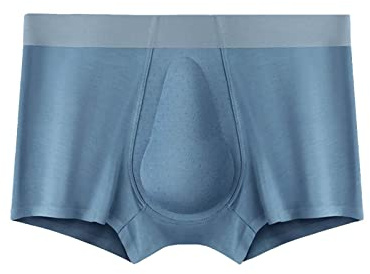 pour Homme sous-vêtements Mens Organic Latex Support Pouch Trunks Men's Confortable Respirant Crotch Seamless Flat Angle Men's Underwear Acier (Blue, XL)
