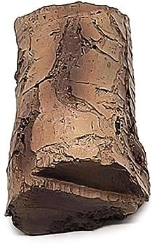 Chiave Resistente alle Intemperie Nascondi Chiave Portachiavi Nascondi Chiave in Finto Legno Nascondere Le Chiavi in ​​​​Modo Sicuro nel Tuo Spazio Esterno Chiave in Contanti Chiave Nascondi