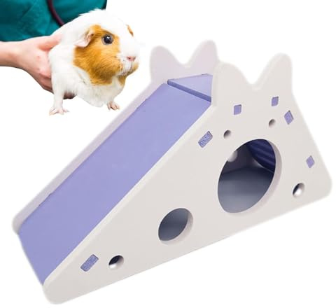 Échelle d'escalade pour Hamster - Petite Échelle pour Animaux De Compagnie, Échelle D'activité pour Hamster | Maison pour Gerbilles, Jouet D'activité pour Petits Animaux De Compagnie